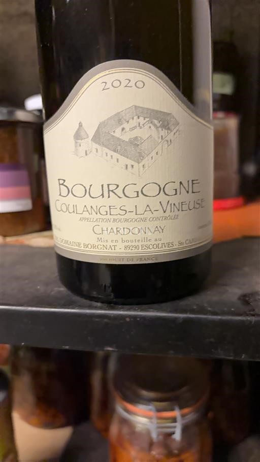 Burgundy Not Specified Domaine Borgnat 2020