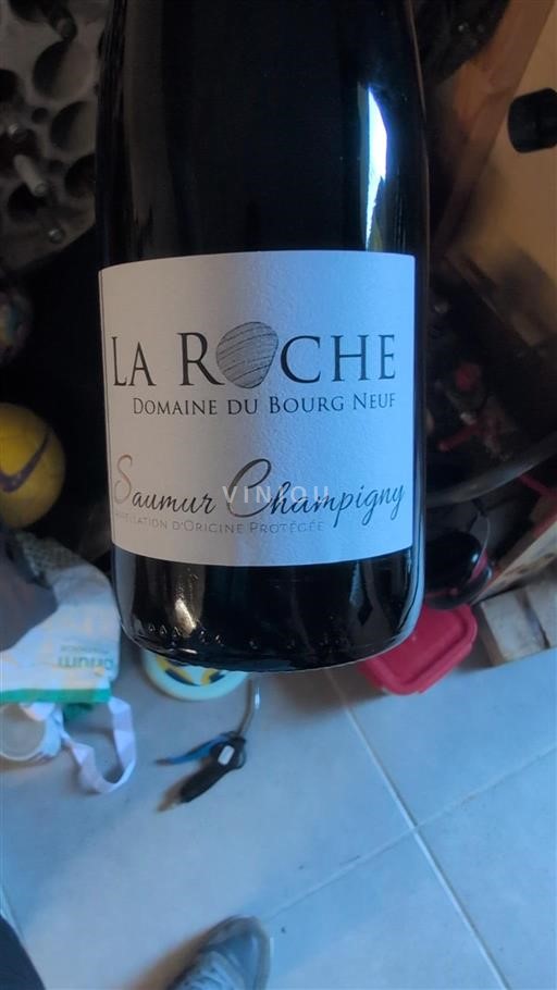 Údolí Loiry Saumur-Champigny Domaine Bourg Neuf La Roche Neročník