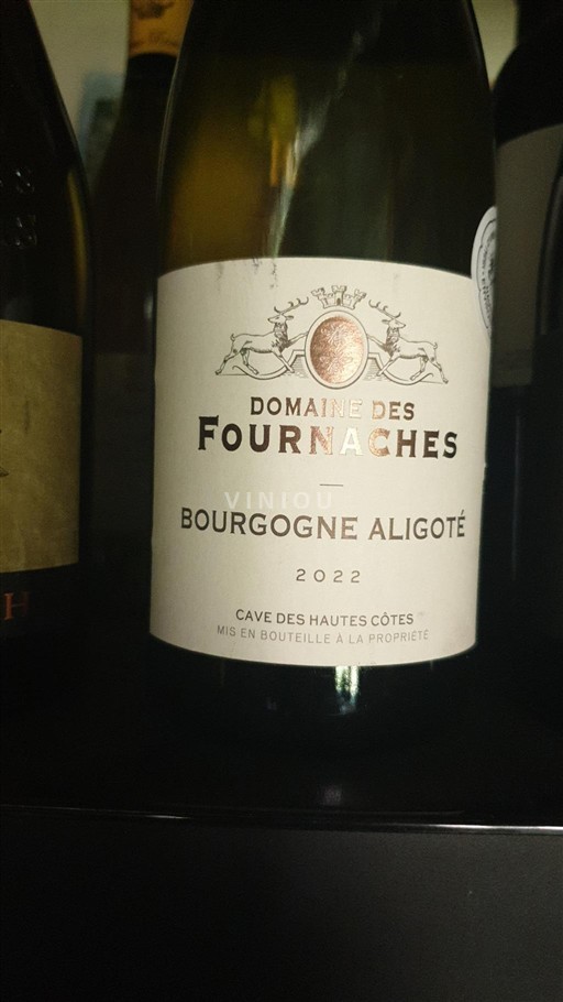 Borgoña Borgoña-Aligoté Domaine Des Fournaches 2022
