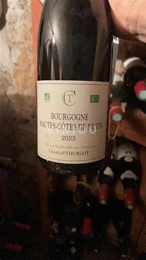 Borgoña Hautes Côtes de Nuits Charles Thurgot 2023