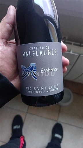Langvedok Pic-saint-loup Château Valflaunès Espérance 2022