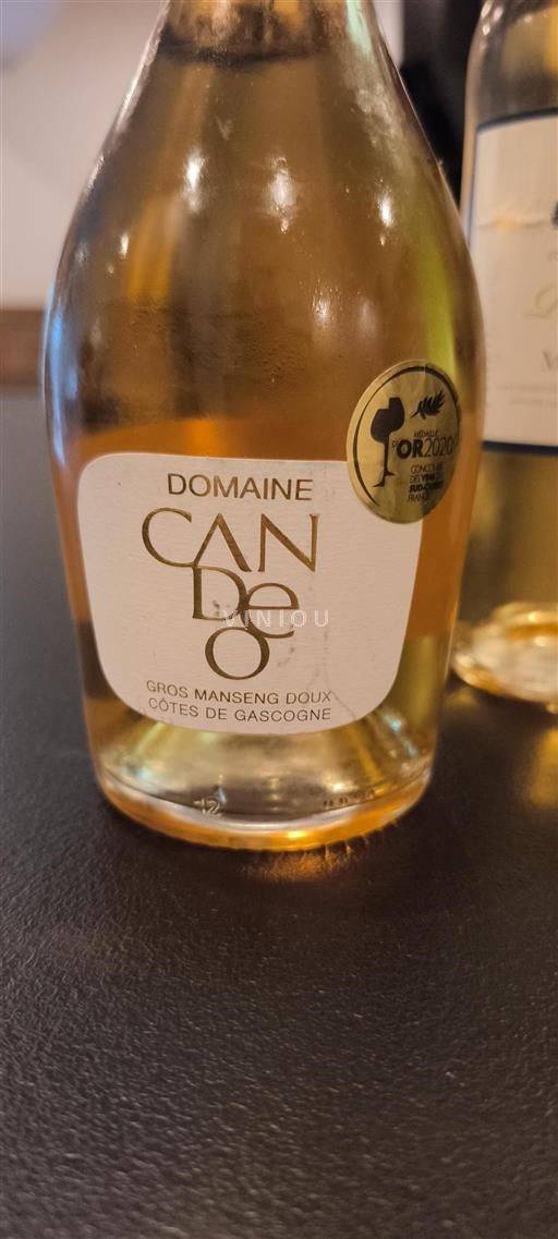 South West Côtes de Gascogne Domaine Candelon 2019