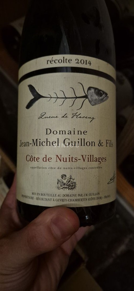 Burgundi Côte de Nuits -kylät Domaine Jean-Michel Guillon & Fils Queue de Hareng 2014
