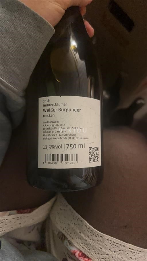 Rheinhessen Not Specified Weingut Krebs-Grode Guntersblumer 2016