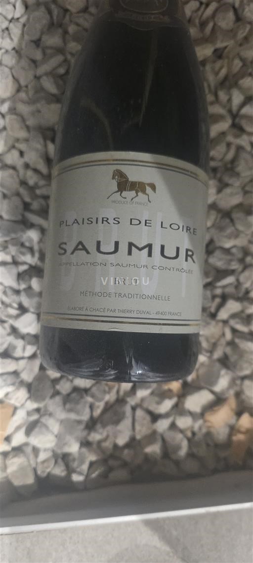 Loirevallei Saumur Thierry Duval Plaisirs de Loire Niet-geïntegreerd