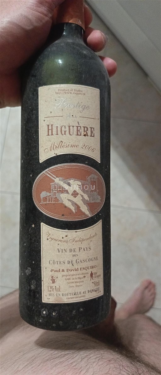 Zuidwest-Frankrijk Côtes de Gascogne Higuère Prestige 2006
