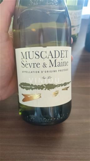 Thung lũng sông Loire Muscadet Sèvre et Maine Vignoble sourice 2023