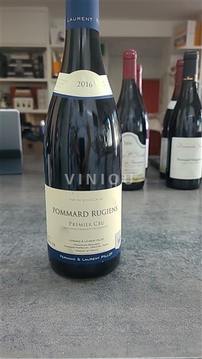Burgundi Määrittelemätön Premier Cru Florent & Laurent Pillot 2016