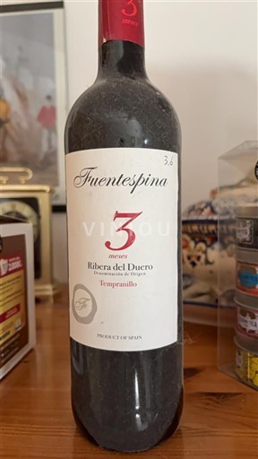 Kastilien und León Ribera del Duero Fuentespina 3 Ohne Jahrgang