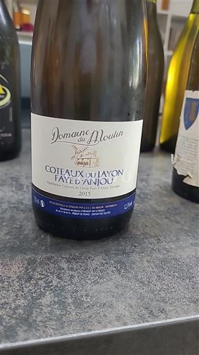 Loiretal Nicht spezifiziert Domaine Moulin 2015