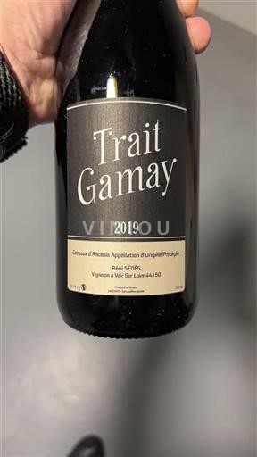 Dolina Loare Coteaux d'Ancenis Rémi Sédès Trait Gamay 2019