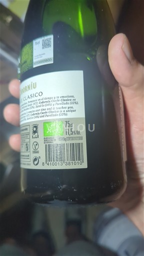 Katalonien Cava Codorníu Clasico Ohne Jahrgang