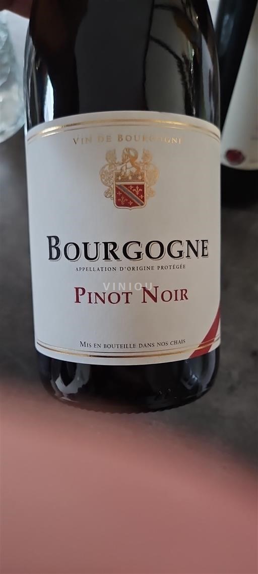 Burgundi Bourgogne Pinot Noir 2023 Ei vuosikertaa