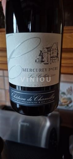 Burgund Mercurey Premier Cru Château Chamirey Les Ruelles 2019