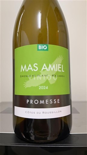 Roussillon Côtes-du-roussillon Mas Amiel Promesse 2024