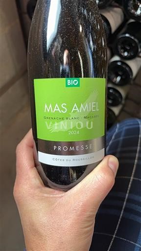 Roussillon Côtes-du-Roussillon Mas Amiel Promesse 2024