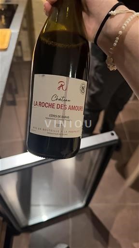 Bordeaux Côtes de Bourg Château La Roche des Amours 2022