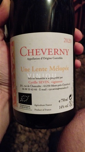 Loire-dalen Cheverny Cyrille Sevin Une lente mélopée 2020
