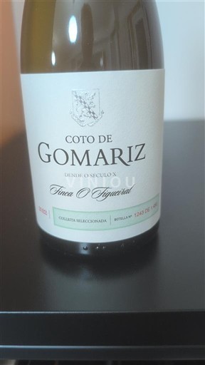 Galicia O Ribeiro Coto de Gomariz Finca O Figueiral 2022
