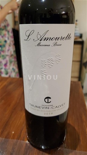 Roussillon Côtes-du-Roussillon Thunevin-Calvet L'Amourette Maxime Briza 2019