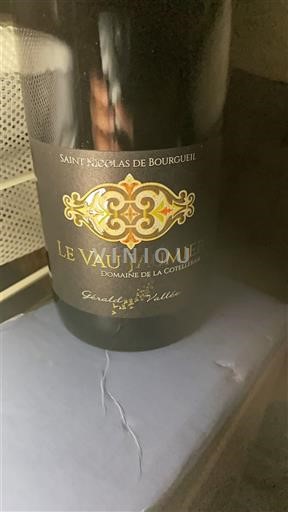 Loirevallei Saint-Nicolas-De-Bourgueil Domaine La Cotelleraie Le Vau Jaumier 2020