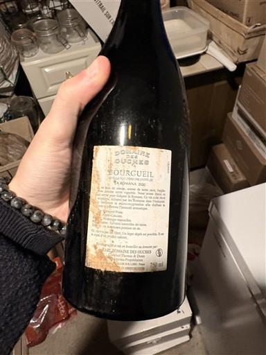 Loire-dalen Bourgueil Domaine Des Ouches La Romana 2020