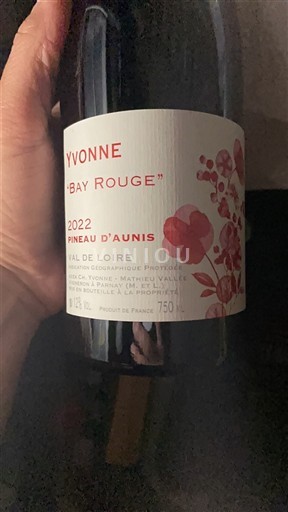 Loiretal Tal der Loire Yvonne Bay Rouge 2022
