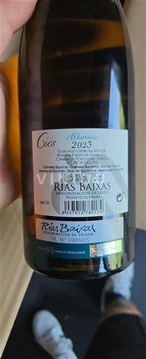 Galicia Rías Baixas Cies 2023
