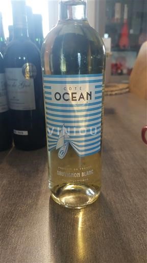 Loire Valley Unspecified Côte Océan Sauvignon Blanc Non-Vintage