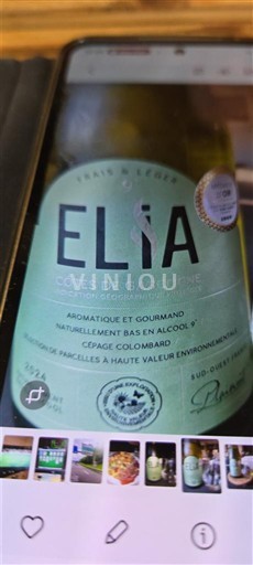 Südwestfrankreich Côtes de Gascogne Elian Da Ros Elia 2024
