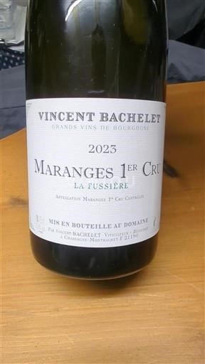 Bourgogne Không được chỉ định Premier Cru Vincent Bachelet La Fussière 2023