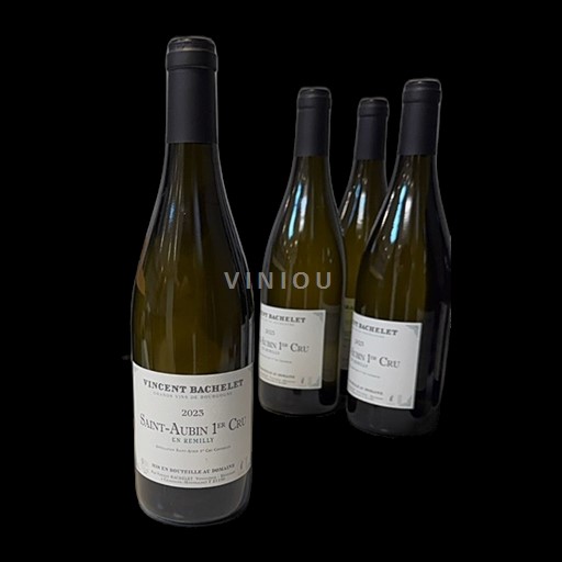 Burgundi Saint-Aubin Premier Cru Vincent Bachelet En Remilly 2023