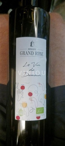 Rhône-dalen Côtes-du-Rhône Domaine Grand Ribe Le Vin de Demain 2020