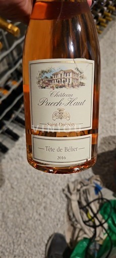 Linguadoca Non specificato Château Puech-Haut Tête de Bélier 2016