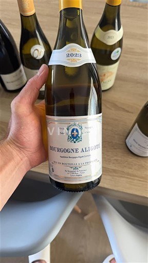 Borgoña Borgoña-Aligoté Buxy 2023