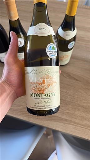 Bourgondië Montagny La Thiolère 2023
