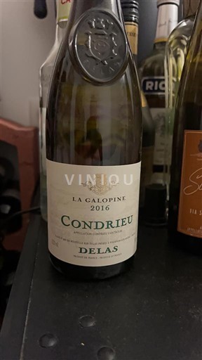 Rhônetal Condrieu Delas La Galopine 2016