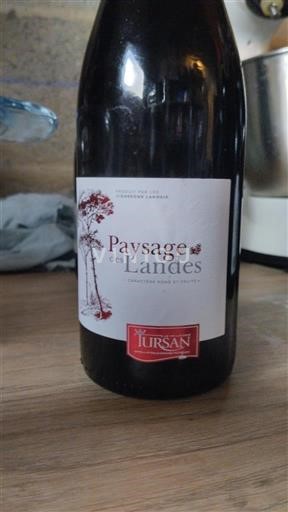Zuidwest-Frankrijk Tursan Tursan Paysage des Landes Niet-geïntegreerd