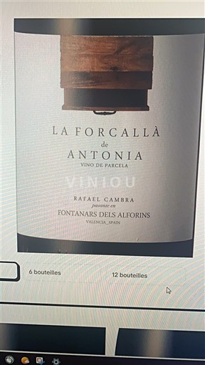 Valencijska skupnost Valencija Rafael Cambra La Forcallà de Antonia 2023