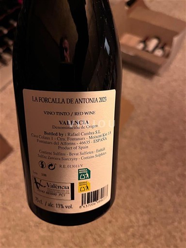 Comunidad Valenciana Valencia Rafael Cambra La Forcallà de Antonia 2023