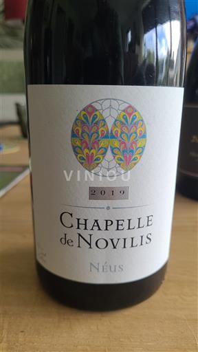 Vin Rouge sec Néus Chapelle de Novilis 2019 France Languedoc AOC
