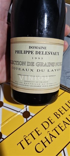 Vin Blanc liquoreux Sélection de Grains Nobles Philippe Delesvaux 1995 France Vallée de la Loire Coteaux-du-layon AOC