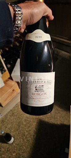 Beaujolais Morgon P. Ferraud & Fils 2019