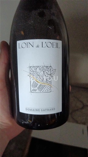 Sud-Ovest Gaillac Domaine Gayrard Loin de l'Oeil 2020