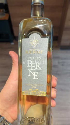 Vin Blanc sec Terres de Berne Château Berne 2023 France Provence AOC