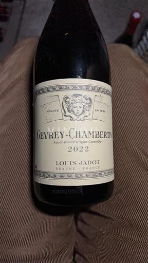 Bourgondië Gevrey-Chambertin Louis Jadot 2022