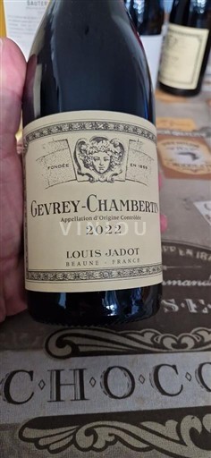 Vin Rouge sec Louis Jadot 2022 France Bourgogne Gevrey-chambertin AOC