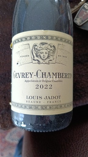 Vin Rouge sec Louis Jadot 2022 France Bourgogne Gevrey-chambertin AOC