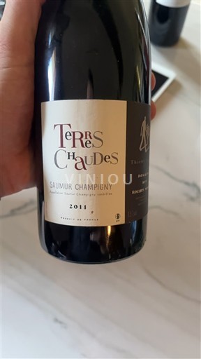 Údolí Loiry Saumur-Champigny Terres Chaudes 2011