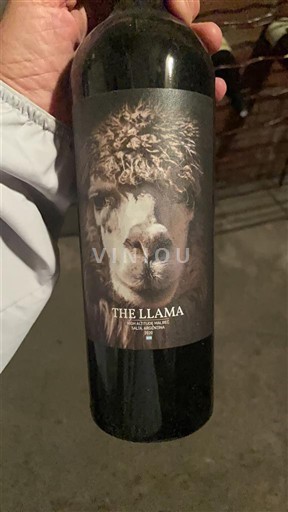 Salta Valles Calchaquíes The Llama Vinas en Flor 2020